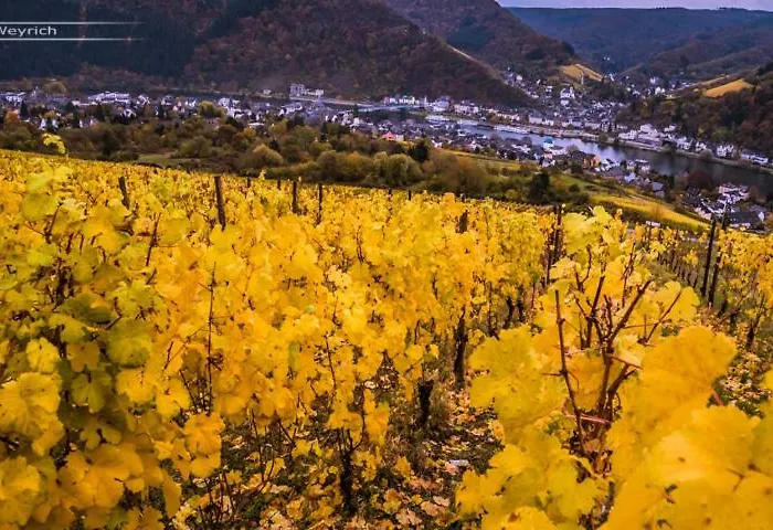 公寓 Ginsterberg 特拉本特拉巴赫